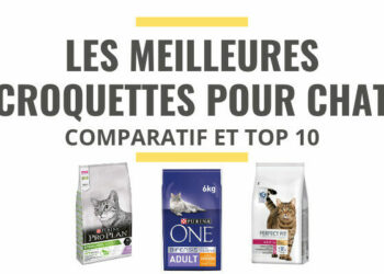 Est-ce que les croquettes Friskies sont bonnes pour les chats ?