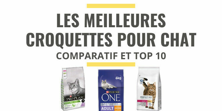 Est-ce que les croquettes Friskies sont bonnes pour les chats ?
