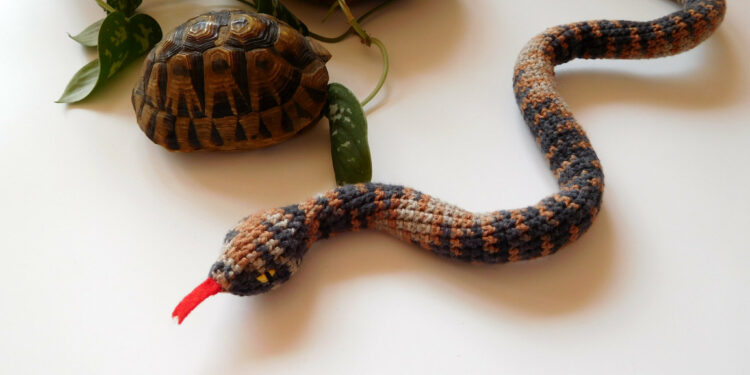 Est-ce que les dents d'un serpent repousse ?