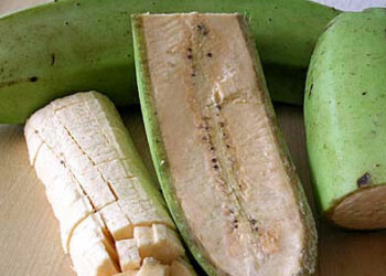 Est-ce que les gerbille mange des tomates ?