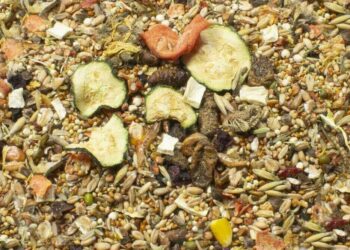 Est-ce que les gerbilles mangent des carottes ?