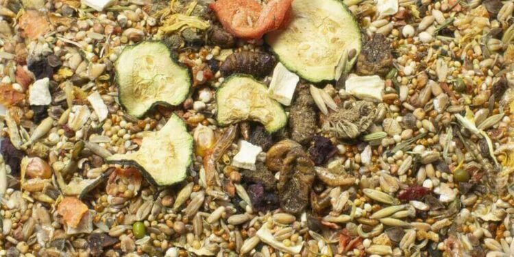 Est-ce que les gerbilles mangent des carottes ?