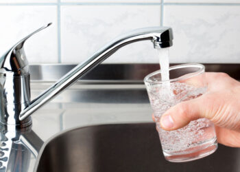 Est-ce que les guppy ont besoin de chauffage ?