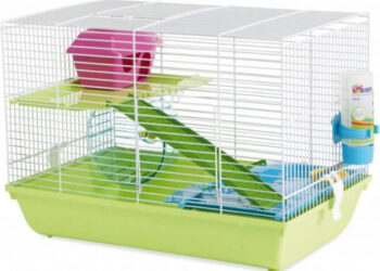 Est-ce que les hamster aime la lumière ?