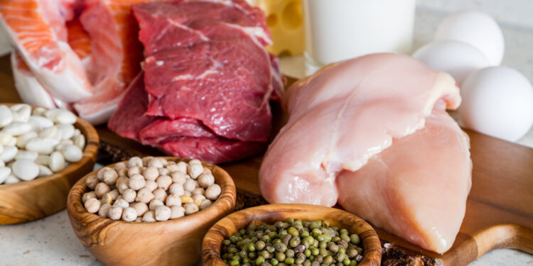 Est-ce que les insectes sont des protéines ?