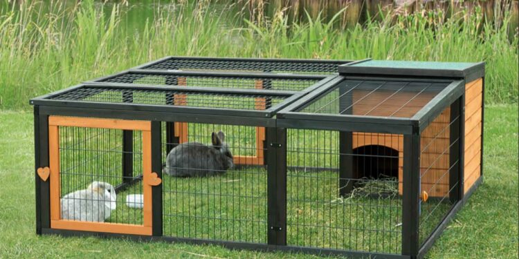 Est-ce que les lapins peuvent rester dehors ?