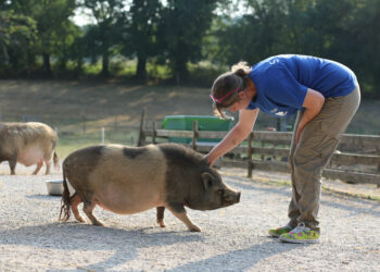 Est-ce que les nains peuvent tomber enceinte ?