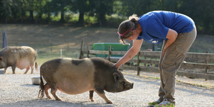Est-ce que les nains peuvent tomber enceinte ?