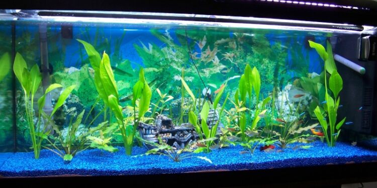 Est-ce que les néon consomme beaucoup d'électricité ?