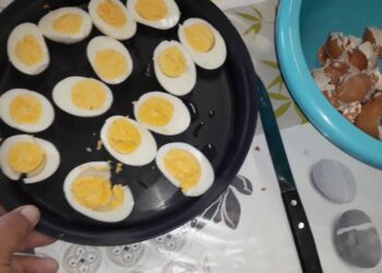 Est-ce que les œufs sont bons pour les oiseaux ?