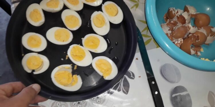 Est-ce que les œufs sont bons pour les oiseaux ?