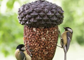 Est-ce que les oiseaux aiment les pâtes ?