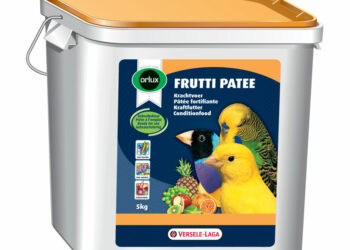 Est-ce que les oiseaux mangent des œufs durs ?