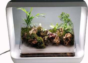 Est-ce que les plantes aiment la lumière artificielle ?