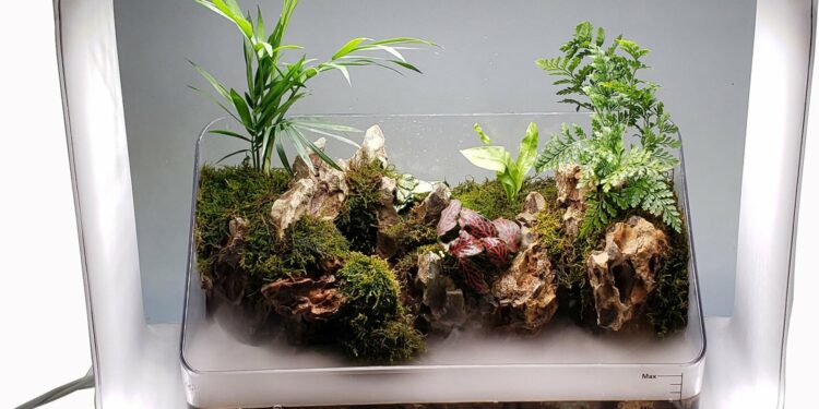 Est-ce que les plantes aiment la lumière artificielle ?