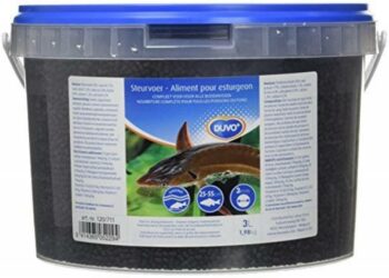 Est-ce que les poissons mangent du riz ?