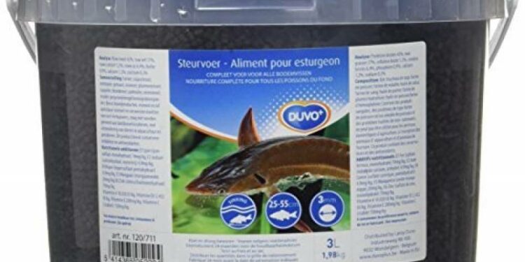 Est-ce que les poissons mangent du riz ?