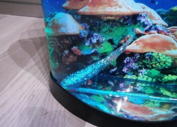 Est-ce que les poissons ont besoin de lumière ?