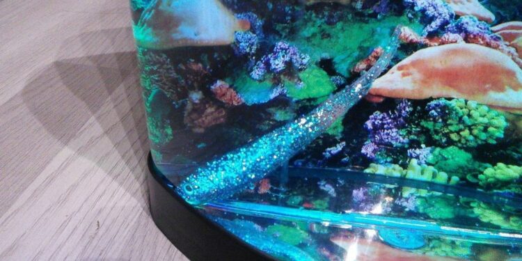 Est-ce que les poissons ont besoin de lumière ?