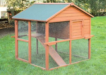 Est-ce que les poules supportent le froid ?