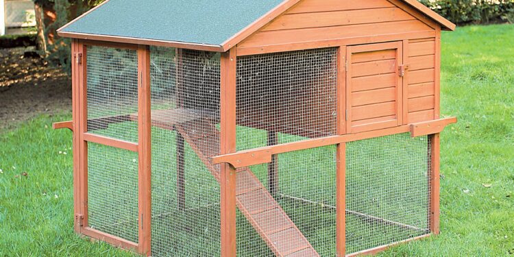 Est-ce que les poules supportent le froid ?