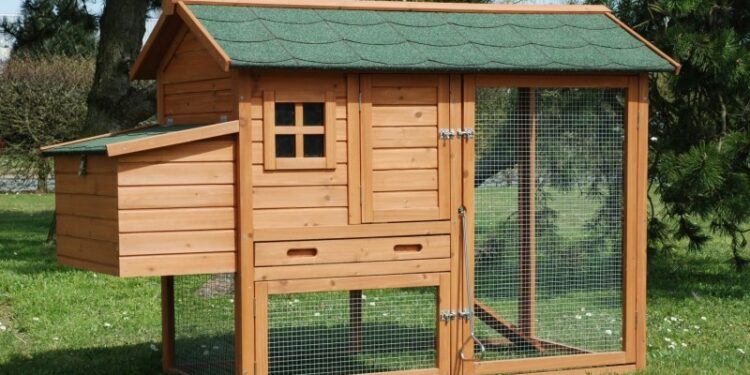 Est-ce que les poules supportent le froid ?