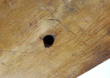 Est-ce que les rongeurs mangent la mousse expansive ?