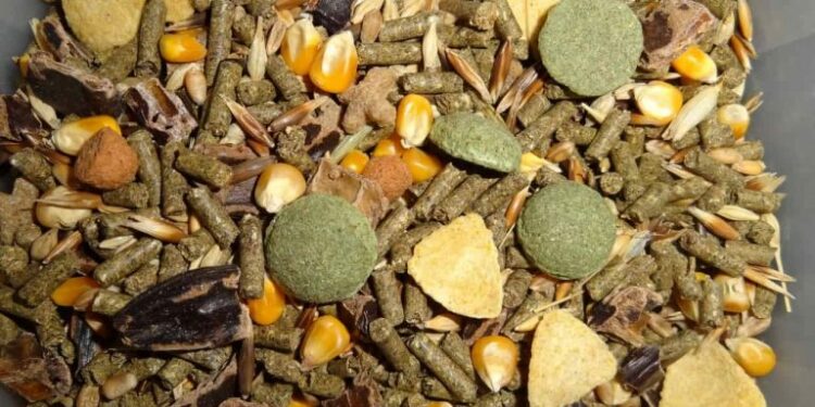 Est-ce que les souris peuvent manger de la salade ?