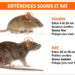Est-ce que les souris peuvent monter sur les lits ?