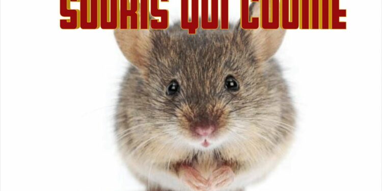 Est-ce que les souris peuvent monter sur les lits ?
