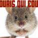 Est-ce que les souris peuvent monter sur les lits ?