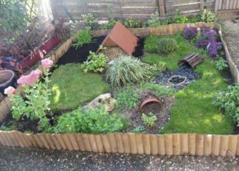 Est-ce que les tortues aiment la pluie ?