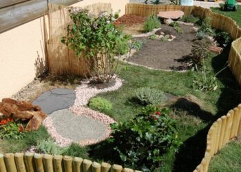 Est-ce que les tortues aiment la pluie ?