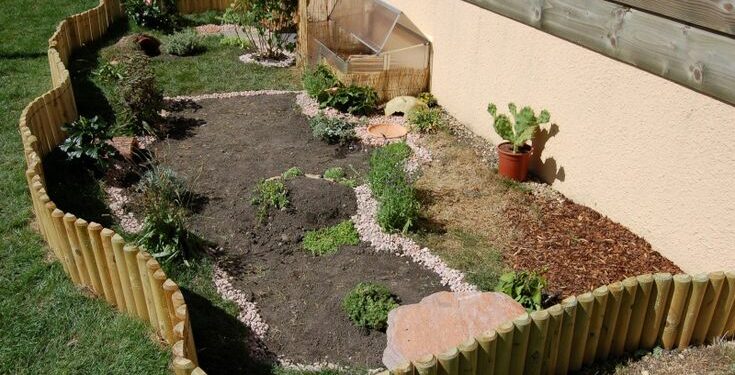 Est-ce que les tortues aiment la pluie ?