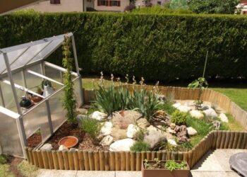 Est-ce que les tortues aiment la pluie ?