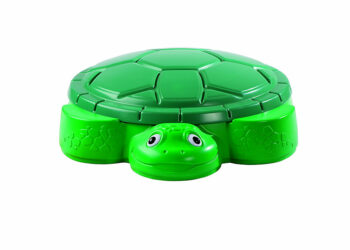 Est-ce que les tortues aiment la pluie ?