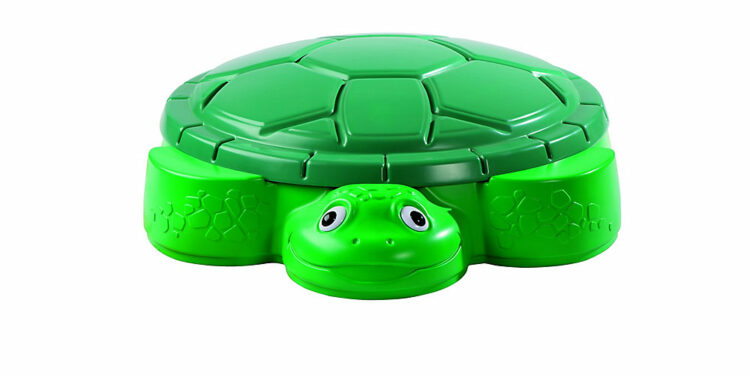 Est-ce que les tortues aiment la pluie ?