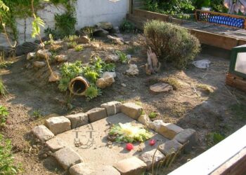 Est-ce que les tortues aiment la pluie ?