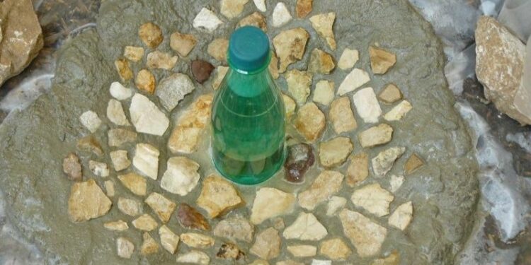 Est-ce que les tortues de terre boivent de l'eau ?