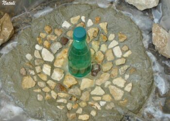 Est-ce que les tortues de terre craignent la pluie ?