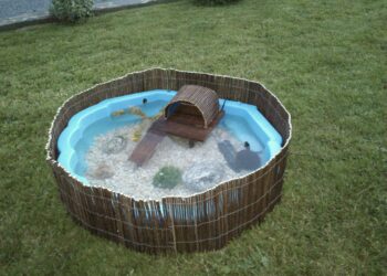 Est-ce que les tortues d'eau mange de l'herbe ?