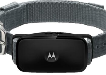 Est-ce que les ultrasons sont efficaces contre les aboiements ?