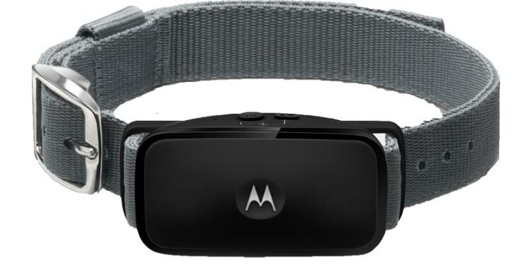 Est-ce que les ultrasons sont efficaces contre les aboiements ?