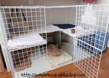 Est-ce que mon lapin est malheureux dans une cage ?