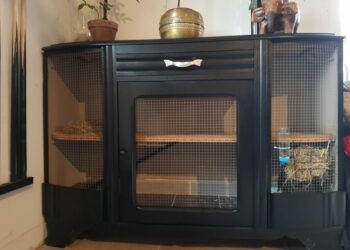 Est-ce que mon lapin est malheureux dans une cage ?