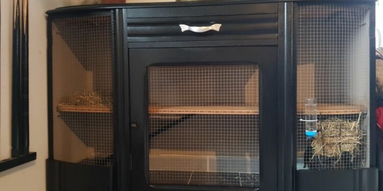 Est-ce que mon lapin est malheureux dans une cage ?