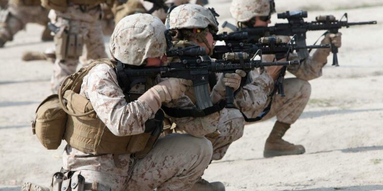 Est-ce que on peut mettre un combattant mâle avec une femelle ?