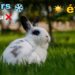 Est-ce que un lapin craint le froid ?