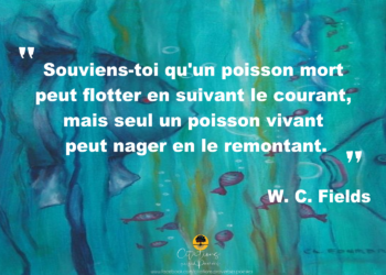 Est-ce que un poisson pense ?