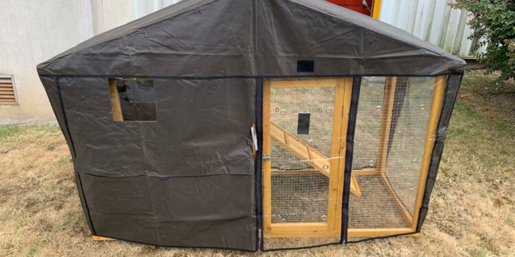 Est-ce que un rat peut manger une poule ?